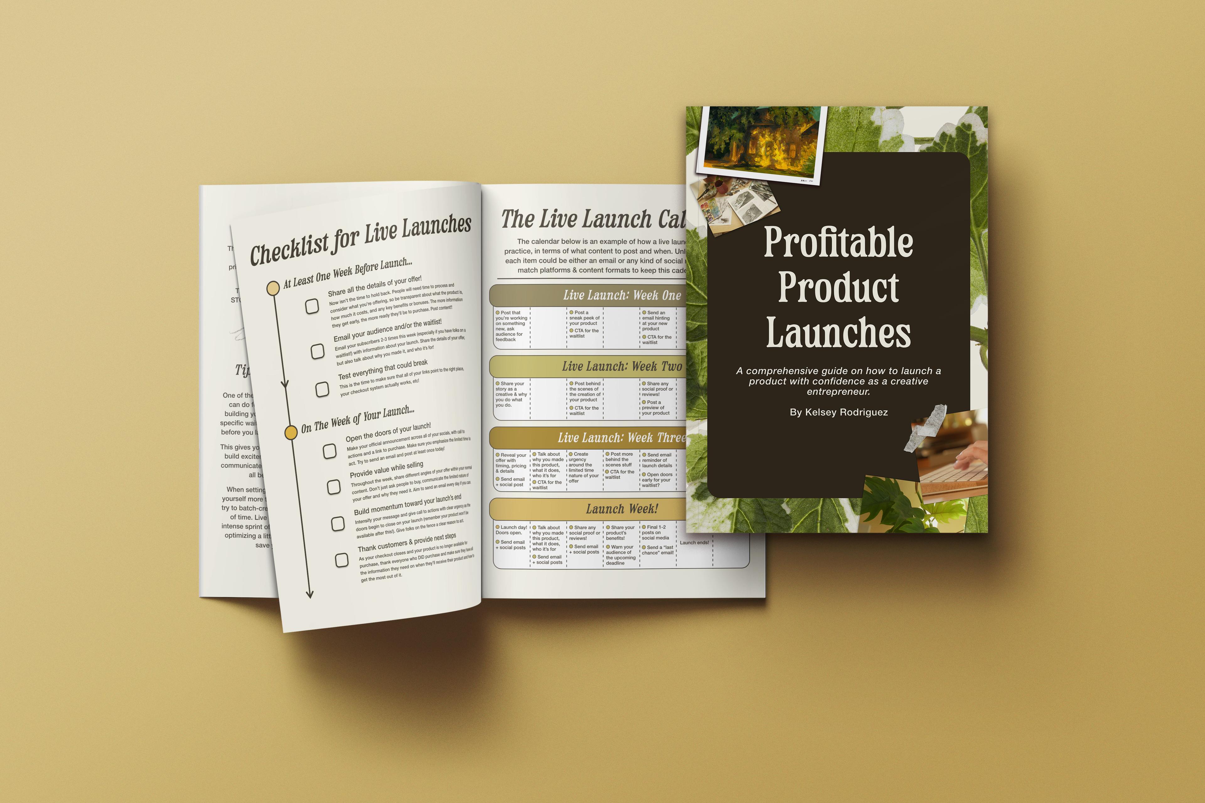 Profitable Product Launches